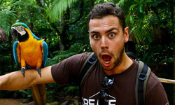 玩樂也可以當職業還年薪上百萬？世界最棒工作得主超有創意30秒影片  澳洲、世界最棒的工作、Elisa Detrez、Andrew Smith、Rich Keam、Greg Snell、Allan Dixon、Roberto Seba