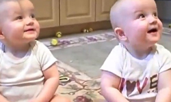 就是愛學人！孩子們的模仿秀時間       萌、兒童、影片、模仿