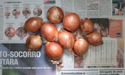 窮人一天能買什麼？用食物看出貧富差距的貧窮線攝影 Stefen Chow、貧窮、貧富差距、THE POVERTY LINE、貧窮線、藝術