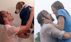 人狗情未了！男子與老闆的狗合拍電影經典畫面 Reddit、mmsspp、鐵達尼號、捍衛戰士、情到深處