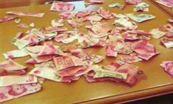 養小孩是很花錢的！4歲幼兒撕爛父母畢生積蓄 撕爛、撕毀、撕壞、幼兒、兒童