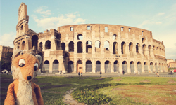 這是我人生的最後一個願望　狐狸先生代替主人環遊世界 The Traveling Fox、Mr. Fox、狐狸先生、環遊世界、癌症、募款