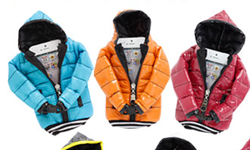 天冷了加件外套吧！手機專用羽絨衣 手機、週邊、外套、風衣、羽絨衣、迷你