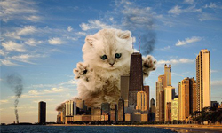 人類文明毀在肉球下！貓變酷斯拉假想圖 毀滅、人類、文明、酷斯拉、貓咪、假想、合成、萌