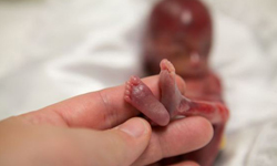 妞新聞2013之最！2013年大家都在看什麼新聞？ 2013、回顧、排行、2013回顧、感人、性感