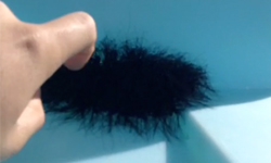 戳下去保證被嚇到！路邊毛球的真面目原來是… 戳、戳戳樂、驚悚、恐怖、噁心