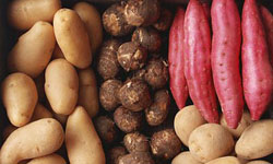 怎麼靠蔬菜減肥？靠「熱量分類」讓妳瘦更快！ ibeauty、身材、女人、飲食、熱量