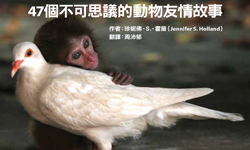妞活動：《你是我永遠的朋友》讀者專屬抽獎活動 你是我永遠的朋友、動物