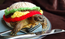 烏龜肉漢堡你吃得下去？超可愛海龜毛衣變身食物秀 Katie Bradley、海龜、烏龜、etsy