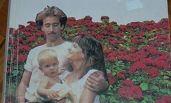 凱吉一出手便知有沒有！盤點尼可拉斯凱吉的重要性 尼可拉斯凱吉、凱吉、惡搞、合輯