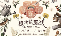 文青就是腳勤：國立臺灣博物館《植物的魔法特展》 展覽、表演、藝文活動、假日、週末、藝術