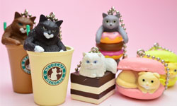 軟Q酥綿的馬卡龍貓？貓主題咖啡館吊飾攻陷貓奴的心 馬卡龍貓、貓主題咖啡館、吊飾、貓奴