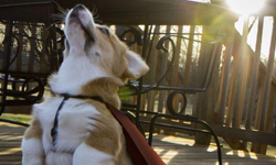 一起當無堅不摧的美麗女人！5個化壓力為助力的方法 紓壓、心靈、壓力、美麗、女人