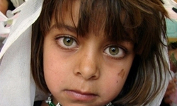 8歲新娘初夜之死　揭密童婚殘酷真相 童婚、殘酷、真相、葉門、印度