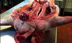 帥哥廚師在廚房　微獵奇+好歡樂工作日誌 帥哥、廚師、廚房、獵奇、歡樂、工作、日誌、照片、攝影、Jim Stein