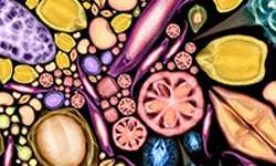 文青就是腳勤：用當代藝術角度看科學之美《驚豔‧新視野》 展覽、表演、藝文活動、假日、週末   