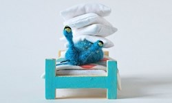 從海底上岸　賴在床上的海底生物羊毛氈Invertebrate Sleep Habits 羊毛氈、海底生物、魷魚、章魚、Invertebrate Sleep Habits