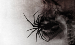 一舉一動都頭皮發麻　人體X光動圖集 X光、動圖、頭皮發麻、雞皮疙瘩、寒毛直豎