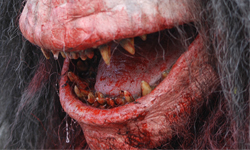 獵奇殺人毀容　森林怪物歷險記《Embedded》 獵奇、殺人、電影、怪物、人、人類、食人、獵奇、自投羅網、叢林、森林、樹林、歷險、Embedded