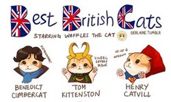 福爾摩斯變成貓還帥嗎？網路紅貓Waffles扮演英國男星插畫集 Waffles、網路紅貓、英國男星、插畫、福爾摩斯