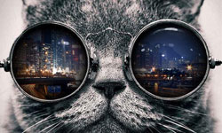 1/22限時免費App特輯：你的房間就是你的錄音室！ 限免、免費、特價、iPhone、Windows Phone