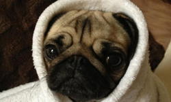 再冷也要去旅行 穿成雪球也要看的冬季美景 冬季、旅遊、景點、旅行、圓冰、結冰湖、尼加拉瓜瀑布