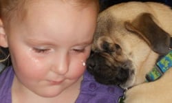 看不見陽光依舊能散播溫暖！失明小巴哥化身療癒狗醫師 失明、巴哥、Xander、收養、狗醫師