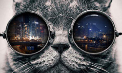  就讓我眼中倒影有你吧！影像合成App《Instashake》 App、Instashake、iPhone、iTunes