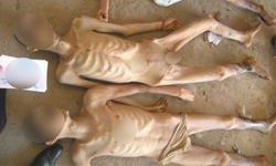 餓死、虐死、掐死　敘利亞監獄屍橫遍野 餓死、虐死、掐死、敘利亞、屍橫遍野、照片、曝光、監獄、系統性、屠殺、政權、阿薩德、殺人、恐怖、屍體、虐殺