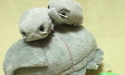 反差萌魅力無限！大王具足蟲週邊霸氣特蒐 大王具足蟲、深海、週邊、商品、特蒐