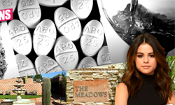 妞快報：換賽琳娜戈梅茲進勒戒所了！？ 妞快報、賽琳娜戈梅茲、Selena Gomez、勒戒、勒戒所