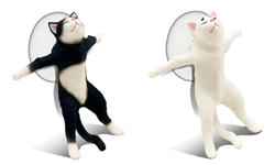 擋死喵喵援軍抵達！新花色捨身貓咪一次來六隻 貓咪、捨身、擋死、手機、貓奴