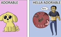 就算你是小強也可愛不起來！6個可愛的規則插畫集 可愛、定義、規則、The 6 Laws of Adorability