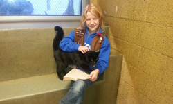 喵星人陪你一起看書！動物收容中心變身貓咪圖書館 動物、收容中心、貓咪、圖書館、流浪、十二夜