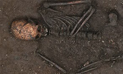 瘋人院墓仔埔建大學　校園挖出千屍塚 千屍塚、屍體、人屍、屍首、校園、大學、無名塚、精神病院瘋、人院、美國、密西西比、醫學、精神病