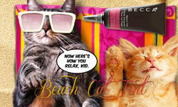 從服裝到美妝都能駕馭！流浪貓Tabs變時尚名模剪貼簿 流浪貓、Tabs、時尚、名模、剪貼簿