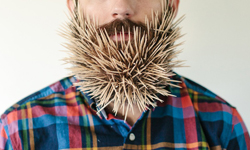 棒棒糖跟火柴都往鬍子塞！夫妻聯手挑戰鬍子負荷極限 棒棒糖、火柴、鬍子、Tumblr、Instagram