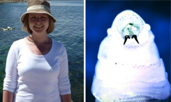 耳內劇痛血流不止！寄生蛆活潑亂竄 驚悚、恐怖、醫學、醫療、蛆蟲