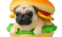 來根法鬥熱狗吧！點心犬讓你鹹食甜點一次滿足 點心犬、鹹食、甜點、萬代轉彈、食玩