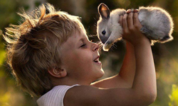 兩位男孩與農場動物們的友情相伴 俄國媽媽的母愛視角攝影集 Elena Shumilova、俄國、動物、兔子、狗狗、溫馨、可愛、攝影