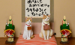 跟著喵星人旅行去！日本最萌旅遊推廣大使Nyalan&Deshi 喵星人、旅行、日本、大使、Nyalan&Deshi