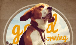 2/21限時免費App特輯：好習慣幫手們來駕到！ 限免、免費、特價、iPhone、Windows Phone、App