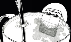 小便斗羨慕蹲式馬桶？爆笑日常小劇場 小劇場、插畫、廣告、創意、惡搞