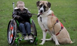 悲慘的過去讓他們更依賴彼此！三腳狗與罕病童的故事 Owen Howkins、Haatchi、Schwartz Jampel Syndrome、好朋友、罕見疾病、狗狗、生命