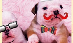 拇指上真的有位姑娘？表情豐富的相片後製App特蒐 手機、App、相片、照片、後製