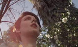 現在放棄就輸了！Don’t give up勵志系歌單 歌單、發現好聲音、音樂、勵志、聽見好生活