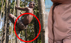 印度人vs.神，只差一條尾巴？男長尾變猴神惹妻怨 人、神、尾巴、男子、印度、猴神、妻子、女人、轉世、化身、哈努曼、奇聞、信仰、怪事、詭異、毛、Hanuman