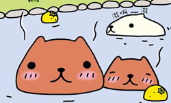 跟水豚學如何過生活！水豚君療癒系人生哲學       水豚、水豚君、萌、療癒、人生哲學