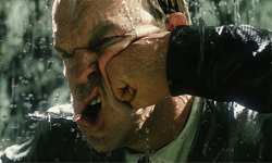 人類脆弱到挨一拳就會死？英國驚見一擊必殺 不堪一擊、一拳、揍一拳、一擊必殺、殺人