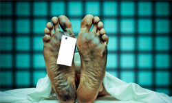 驚醒發現受困屍袋中！死人復活狂踢出一條生路 屍袋、死人、復活、踢、蓋布袋